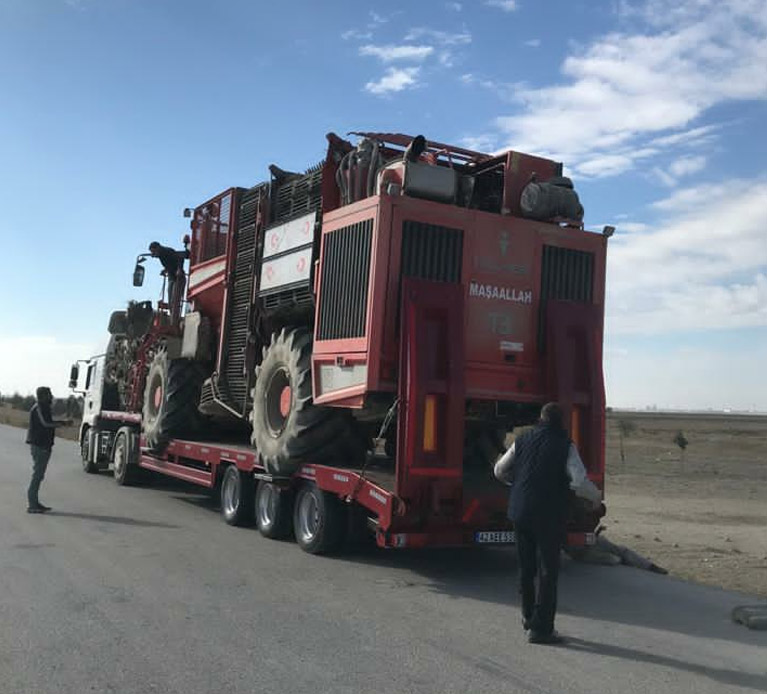 Lowbed Dorse